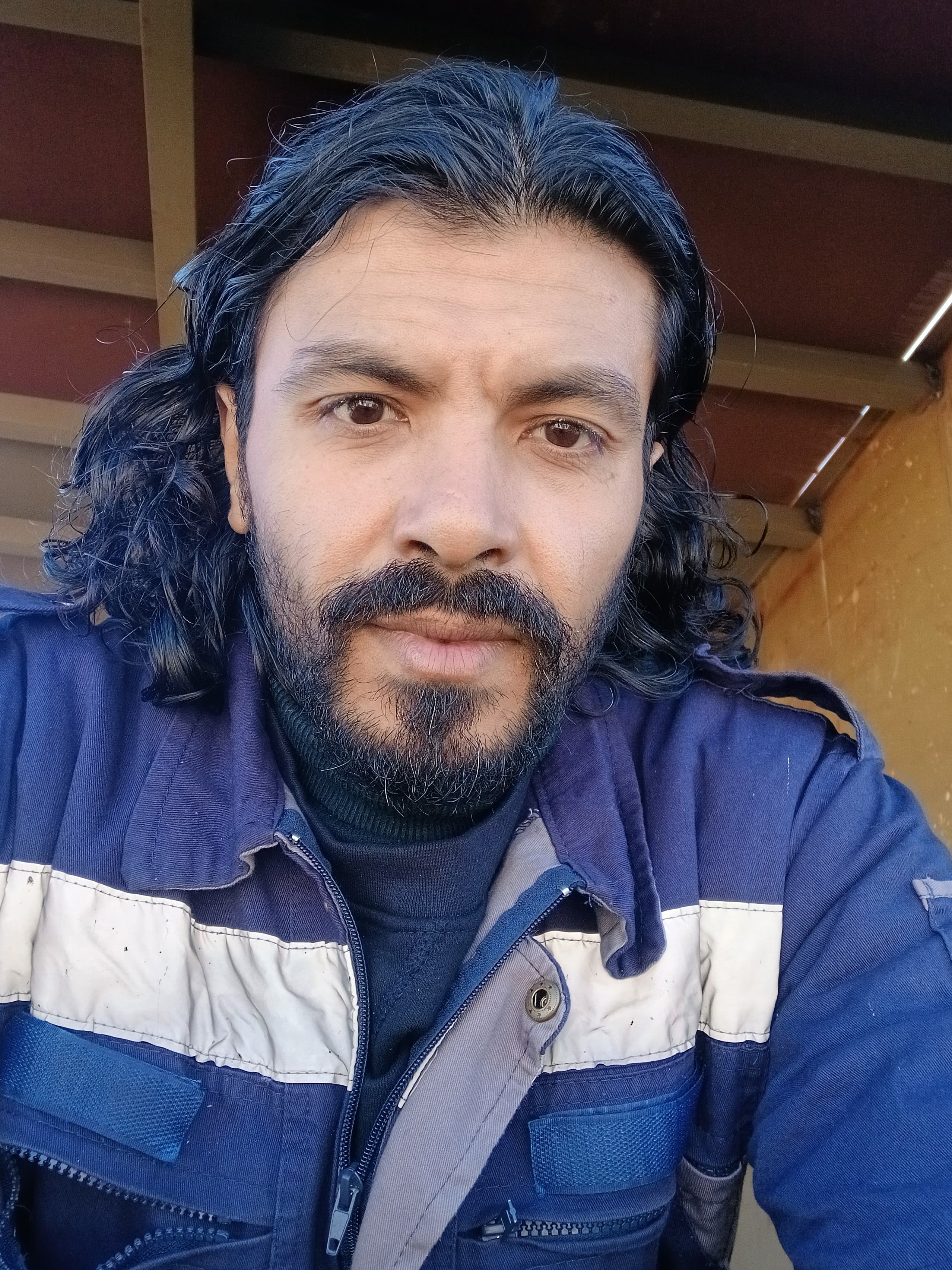 Sayedelmohammdi